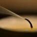 candle, candle wick, smoke, close up, candle, candle, candle, candle, candle