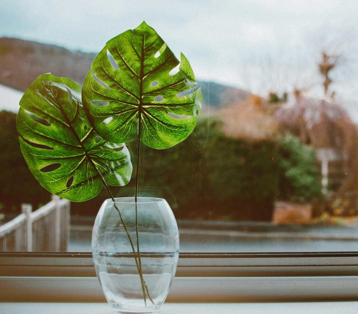 A minimalist display of monstera leaves in a clear glass vase placed on a windowsill.
