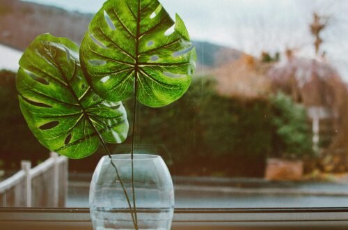 A minimalist display of monstera leaves in a clear glass vase placed on a windowsill.