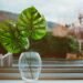 A minimalist display of monstera leaves in a clear glass vase placed on a windowsill.